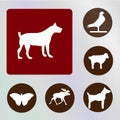 Animals vectors, icons, illustrations, red and brown backkckground Royalty Free Stock Photo