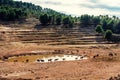 Animals walking around a waterhole