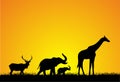 Animals Silhouette