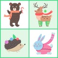 Animals in Warm Clothes Vector Illustration