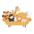 animals on Yellow modern sofa furniture Royalty Free Stock Photo