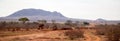 Animals, zebras, elephants on the waterhole in Kenya