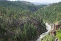 Animas River