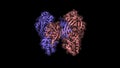 Animated 3D model of diphtheria toxin dimer
