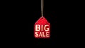 Animated Discount Tag Big Sale. Contains luma matte