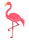 Flat Pink Flamingo Animated Bird Wildlife Animal PNG Illustration Royalty Free Stock Photo