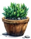 Animated GIF of Euro coin plant in wooden pot, dark green and aquamarine, tattoo-inspired, ISO 100, Velvia, minimalist, creative