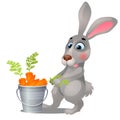 Animated grey hare and steel bucket filled with ripe carrots isolated on white background. Vector cartoon close-up