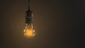 An animated loop of a single swinging vintage incandescent lightbulb over a dark warm background