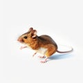 Animated Mouse Running In Hyperrealistic Digital Airbrush Style