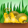 Animated snails