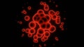 Animation of bacteria under microscope. Design. Microbes or infected cells under microscope. Round image of red infected