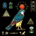 Animation color drawing: images of sacred Egyptian Falcon bird. Sun disk. Set of hieroglyphs.