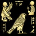 Animation color drawing: set of images of sacred Egyptian Falcon bird. Animal and human.