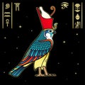 Animation drawing: sacred Egyptian Falcon bird in crown. God Horus - deity of heaven and sun.