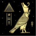 Animation drawing: sacred Egyptian Falcon bird in crown. God Horus - deity of heaven and sun.