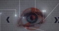 Animation of eye scanning technology over binar code
