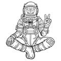 Animation figure of the astronaut skeleton sitting in Buddha pose. Royalty Free Stock Photo