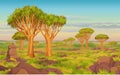 Animation landscape: African valley, dragon blood trees, withered grass, cloudy sky. Royalty Free Stock Photo