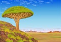 Animation landscape: a dragon blood tree on the hill, the African valley, mountains, the cloudy sky.