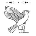 Animation monochrome drawing: sacred Egyptian Falcon bird. God Horus - deity of heaven and sun.