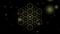 Metatrons Cube and Platonic Solids