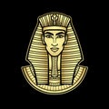 Animation portrait Egyptian man. Gold imitation.