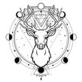 Animation portrait of a horned deer - spirit of the wood. Pagan deity.