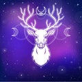 Animation portrait of a horned deer - a wood spirit, the pagan deity, the defender of the nature. Royalty Free Stock Photo