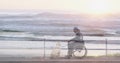 Animation of sea landscape over disabled cuacasian man sitting in wheelchair with his dog