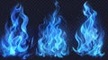 An animation set of realistic blue fire with torch flames isolated on a transparent background. 3D modern illustration Royalty Free Stock Photo