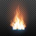Animation Stage Of Decorative Fire Flame Vector