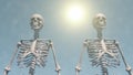 Animation of two human skeletons