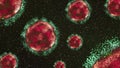 Animation of virus cells on a dark background. Animation for medical and scientific compositions, banners. 3d, 4K