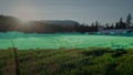 Animation of the word vibes in white distorting over sunlit countryside with lens flare