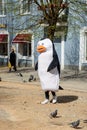 An animator in a penguin costume on the streets of the city. Work in advertising