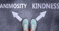 Animosity and kindness as different choices in life - pictured as words Animosity, kindness on a road to symbolize making decision