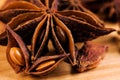 anise Royalty Free Stock Photo