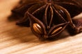 anise Royalty Free Stock Photo