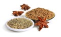 Anise, also called aniseed or Pimpinella anisum with fruits of s