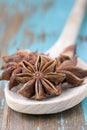 Anise aniseed star Royalty Free Stock Photo