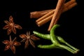 Anise, chilly and cinnamon - black background