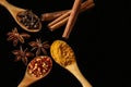 Anise, chilly, cinnamon and other spices - black background