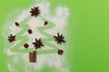 Anise And Cinnamon Spices Christmas Tree Shape On Green Background