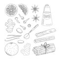 Anise, clove bud, cinnamon spices, ginger, orange slice simple outline hand drawn doodle vector illustration