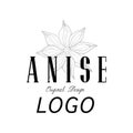 Anise logo original design, culinary spice emblem vector Illustration on a white background