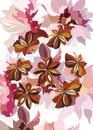 Anise,spice on a background of flowers for your designs,abstract background