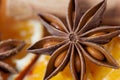 Anise star Royalty Free Stock Photo