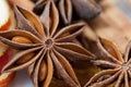 Anise star