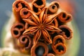 Anise star and bundle of cinnamon sticks. Royalty Free Stock Photo